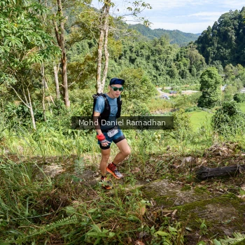 Runner Photo 81506