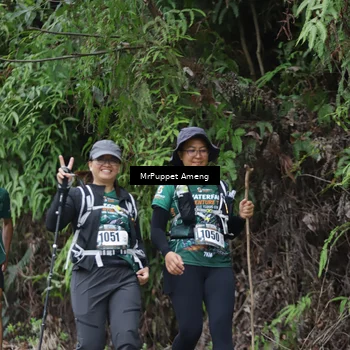 Runner Photo 8151014