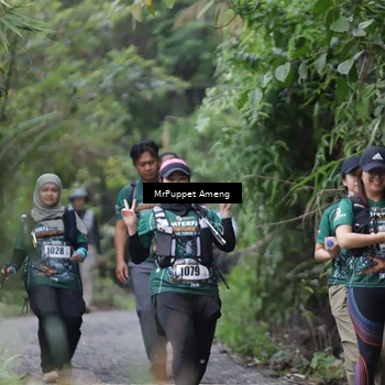 Runner Photo 8151116
