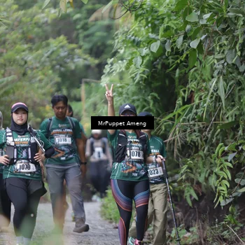 Runner Photo 8151119