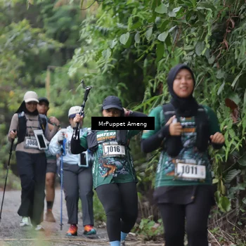 Runner Photo 8151141