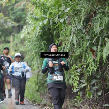 Runner Photo 8151143