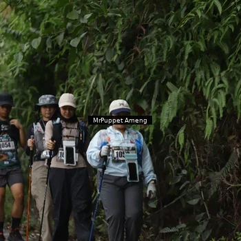 Runner Photo 8151150