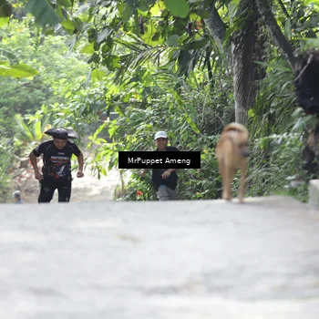 Runner Photo 8151269