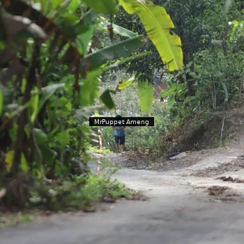 Runner Photo 8151275