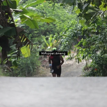 Runner Photo 8151303