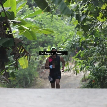 Runner Photo 8151306