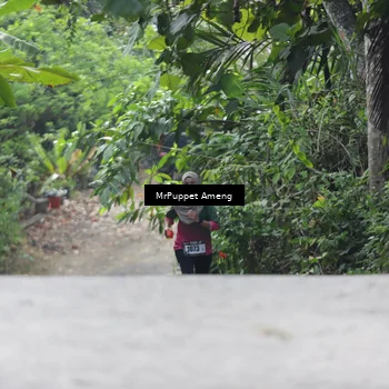 Runner Photo 8151359