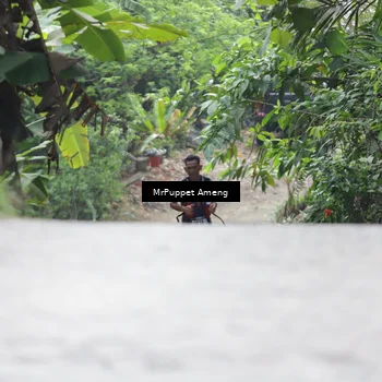 Runner Photo 8151411