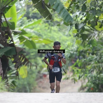 Runner Photo 8151424