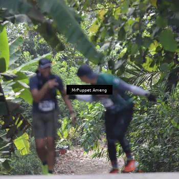 Runner Photo 8151542