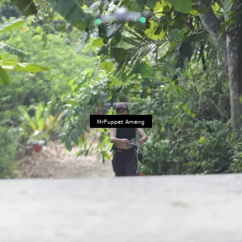 Runner Photo 8151561