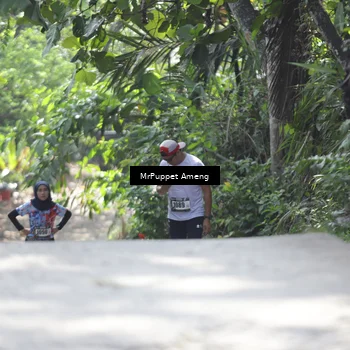Runner Photo 8151830