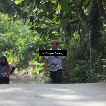 Runner Photo 8151834