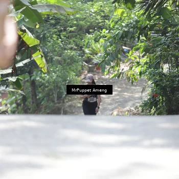 Runner Photo 8152019