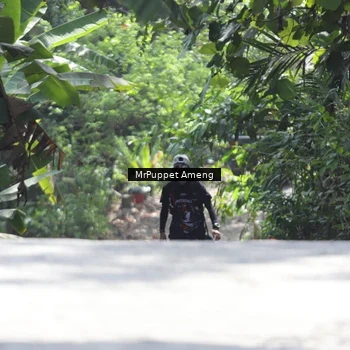 Runner Photo 8152141