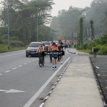 Runner Photo 8152523