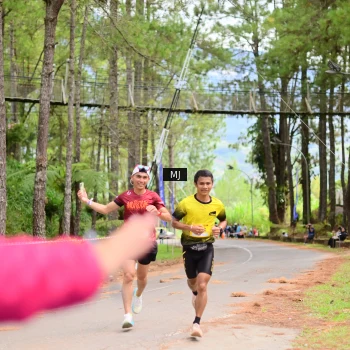 Runner Photo 81565