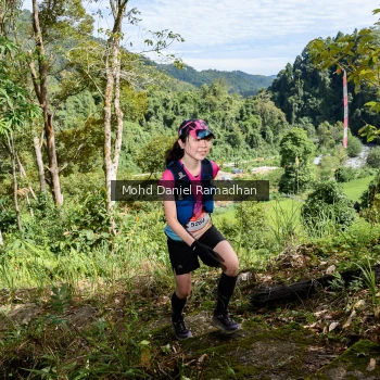 Runner Photo 81566