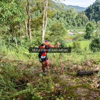 Runner Photo 81607