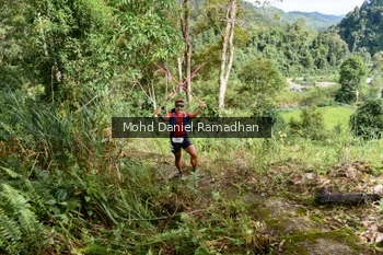 Runner Photo 81609