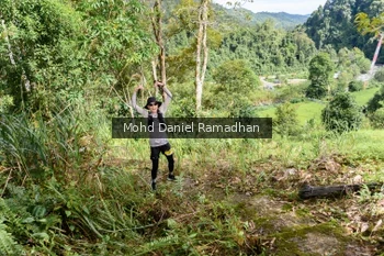 Runner Photo 81626
