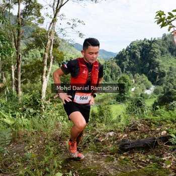Runner Photo 81657