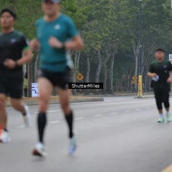 Runner Photo 8166585