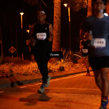 Runner Photo 8170132