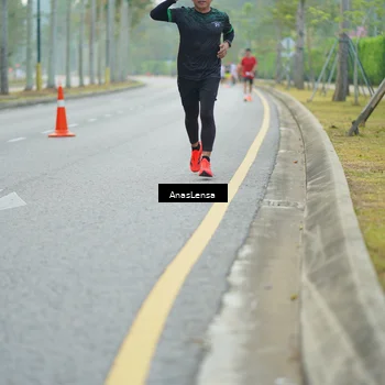 Runner Photo 8177547