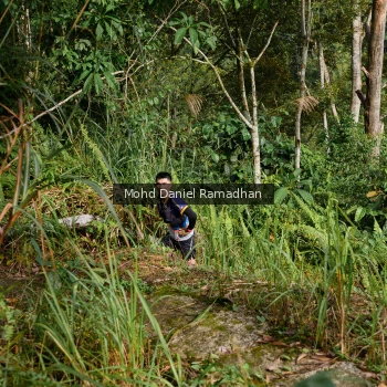 Runner Photo 81790