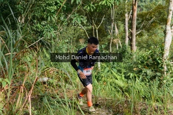 Runner Photo 81792
