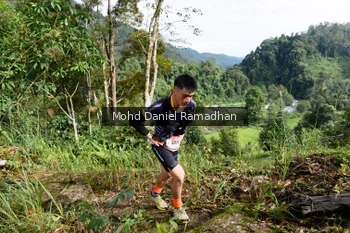 Runner Photo 81796