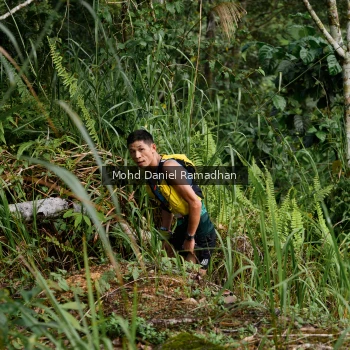Runner Photo 81799