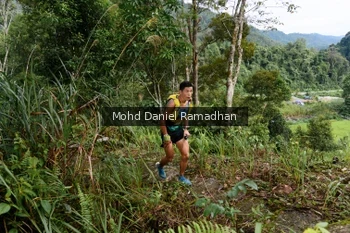 Runner Photo 81801