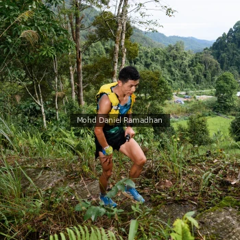 Runner Photo 81802