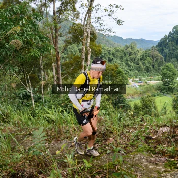 Runner Photo 81851