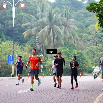 Runner Photo 8185384