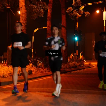 Runner Photo 8191801