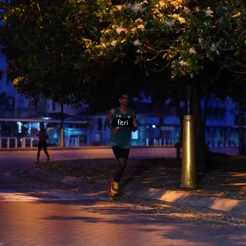 Runner Photo 8194500