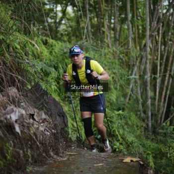 Runner Photo 81973