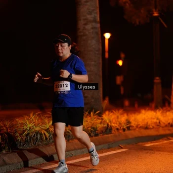 Runner Photo 8199640