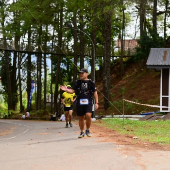 Runner Photo 82045