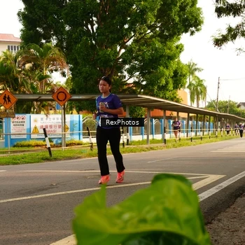 Runner Photo 8205662