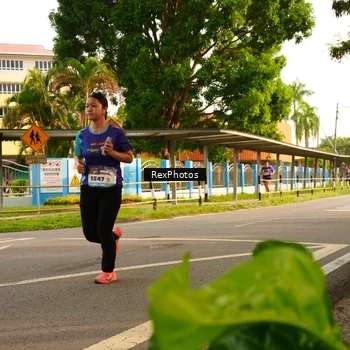Runner Photo 8205681