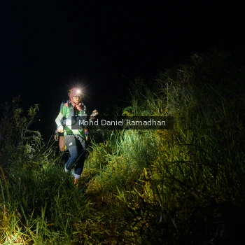 Runner Photo 82087