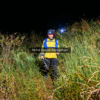 Runner Photo 82127