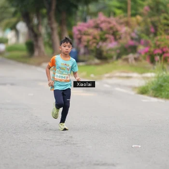 Runner Photo 8214491