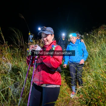Runner Photo 82181