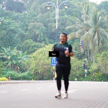 Runner Photo 8219926